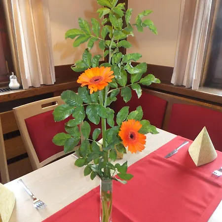 Zum Loewen Hotel 3*