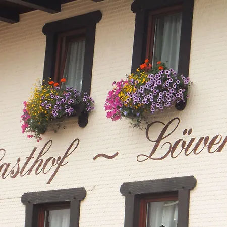 Hotel Zum Loewen 3*