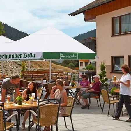 Zum Loewen 3* Enzklosterle