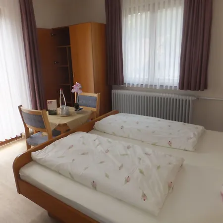 Hotel Zum Loewen 3*