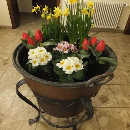 Zum Loewen Enzklosterle